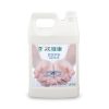次綠康乾洗手液4L